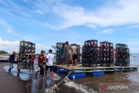 Apartemen ikan  untuk meningkatkan habitat biota laut di Banyuwangi