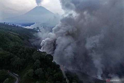 Foto pilihan pekan keempat November 2025