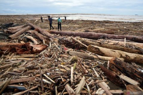 Sampah kayu gelondongan penuhi pantai di Padang usai banjir bandang
