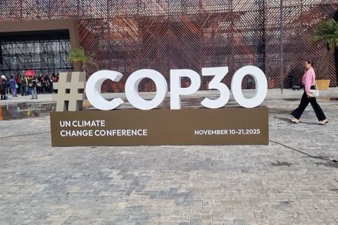 Belem Climate Summit, Indonesia dukung inisiatif TFFF pulihkan hutan