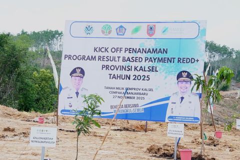 Kalsel mulai langkah rehabilitasi hutan lewat penanaman kembali