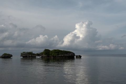 Aplikasi SIMAKSI dikembangkan, permudah penelitian di Wakatobi