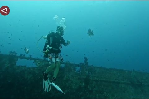 Polairud Papua Barat intensif pantau ekosistem bawah laut Manokwari