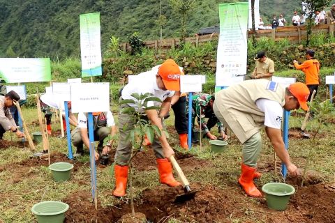 ‎BNPB tanam vegetasi untuk mitigasi bencana di Wonosobo