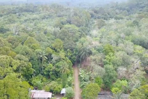 Indonesia targetkan RP16 T dari perdagangan karbon selama COP30