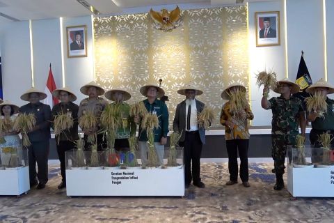 Jelang Nataru, BI Papua gelar pasar murah jaga stabilitas harga pangan