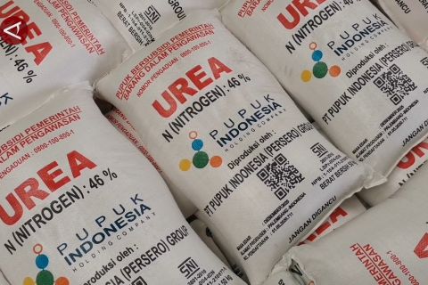 Mentan Amran cabut izin ratusan distributor pupuk nakal