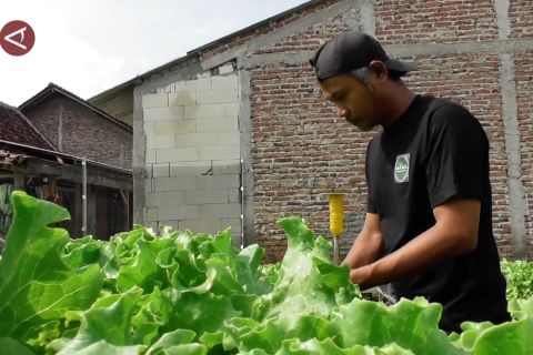 Presiden minta peternakan sapi dan lahan sayur diperbanyak untuk MBG