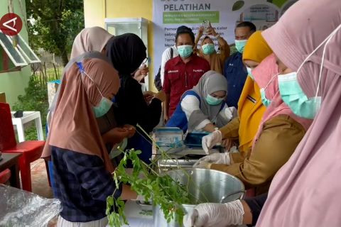 Pemanfaatan daun kelor untuk pencegahan stunting di Kabupaten Sigi