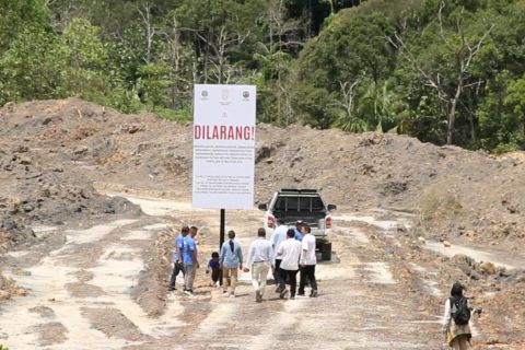 Satgas tertibkan tambang ilegal di kawasan hutan Kaltim