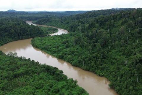 Pemprov Aceh usul perubahan status sebagian kawasan TNGL ke APL