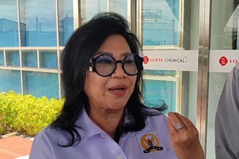 DPR minta petrokimia tingkatkan produksi guna kurangi impor bahan baku