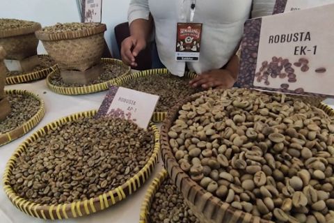 Menggeliatkan UMKM bidang kopi lewat Semarang Coffee Week