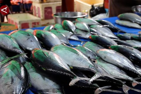 Penerapan perikanan berkelanjutan pacu surplus produksi ikan di Kaltim