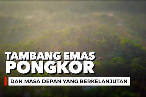Tambang emas Pongkor dan masa depan yang berkelanjutan