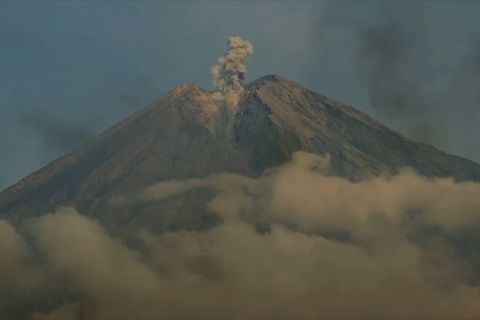 Tanggap darurat Semeru diperpanjang hingga 2 Desember 2025