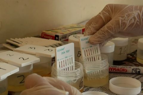 BNN Palangka Raya sosialisasi P4GN dan tes urine pelajar SMP