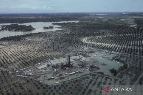 Begini pemandangan dari udara kebun sawit di Aceh masih terendam banjir