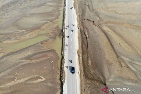 Sekitar 65 ribu hektare lahan pertanian rusak akibat bencana di Aceh