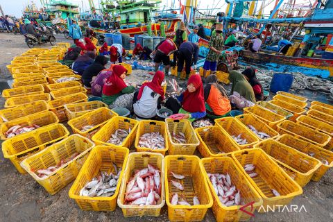 Ribuan nelayan di Tuban dapatkan program jaminan sosial ketenagakerjaan