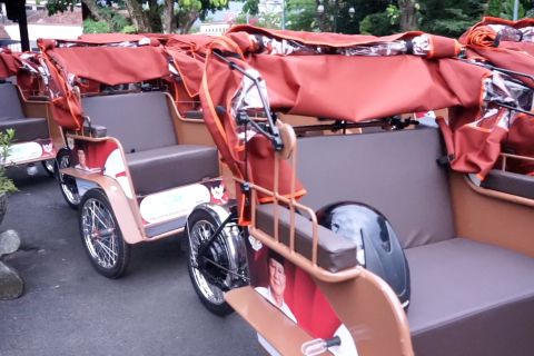 100 becak listrik diberikan kepada pengemudi becak Banjarnegara