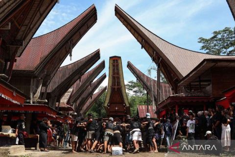 Melihat lebih dekat prosesi Ma'pasonglo pada upacara pemakaman masyarakat adat Toraja
