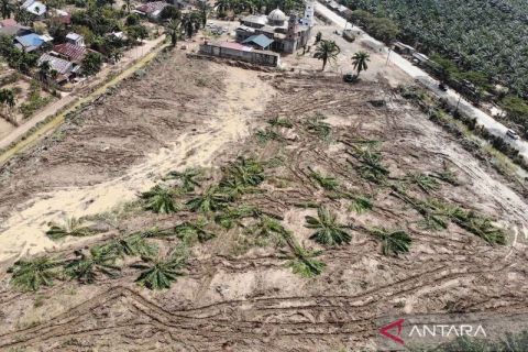 Lahan perkebunan di Aceh Tamiang disiapkan jadi tempat hunian sementara korban banjir