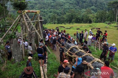 Warga Toraja Utara gelar prosesi Mangriu&rsquo; Batu sebagai simbol keabadian