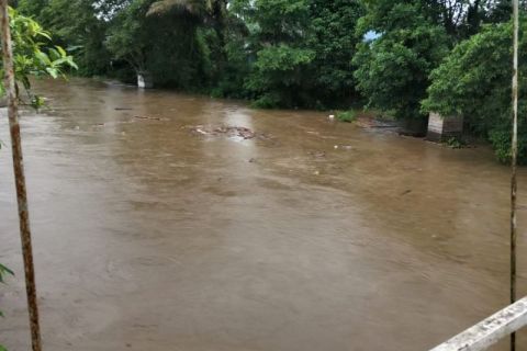 "Baah" landa HST Kalsel