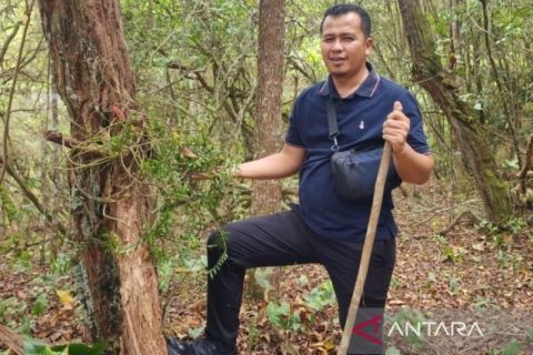 Kembalikan Rp6,62 triliun,  mahasiswa doktoral USU: Menhut bekerja nyata