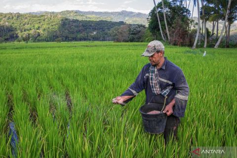 Penurunan HET Pupuk Subsidi