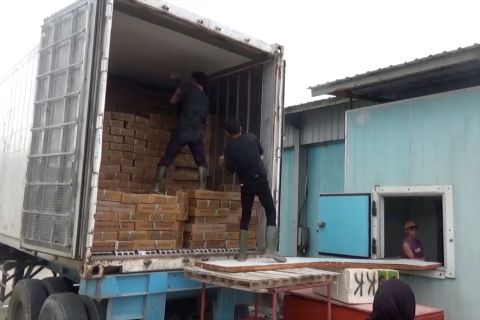 Bea Cukai Kendari asistensi 26 UMKM di Sultra untuk lakukan ekspor