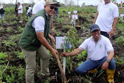 BPDAS dukung penerapan kurikulum hijau di Kalbar