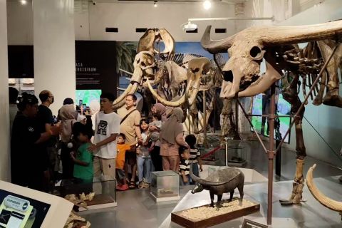 Libur Nataru, wisata edukasi di Museum Geologi dipadati pengunjung