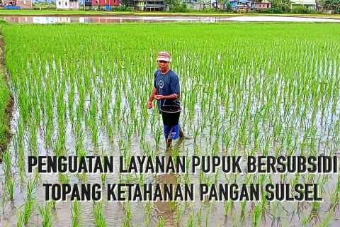 Penguatan layanan pupuk bersubsidi topang ketahanan pangan Sulsel