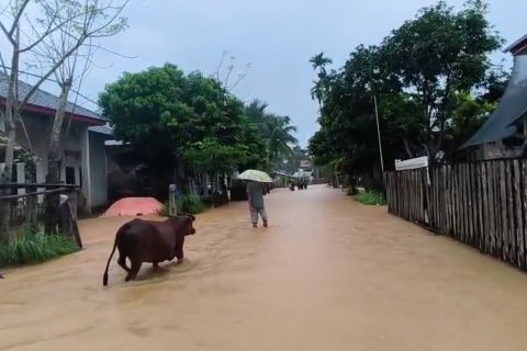 Pidie Jaya kembali dilanda banjir, belasan desa ikut terdampak