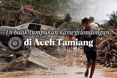 Di balik tumpukan kayu gelondongan di Aceh Tamiang