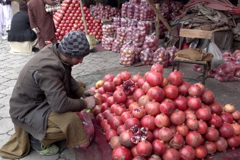 Ekspor perdana 20 ton delima Afghanistan tembus pasar Qatar