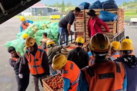 Hercules A-1339 angkut hasil panen dari wilayah terdampak bencana