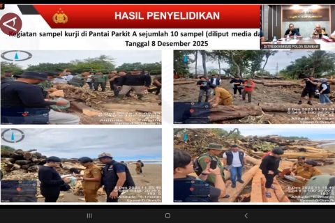 Kasus temuan kayu gelondongan di Sumut naik ke tahap penyidikan