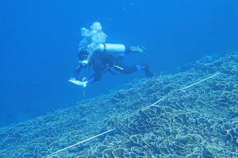 KKP klaim tak ada konflik dalam pemanfaatan konservasi laut di RI