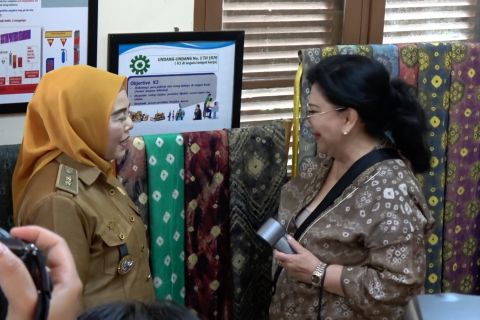 Komisi VII DPR soroti tantangan hulu ke hilir wastra khas Palembang