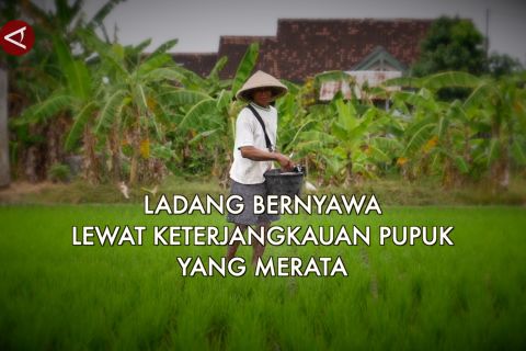 Ladang bernyawa lewat keterjangkauan pupuk yang merata