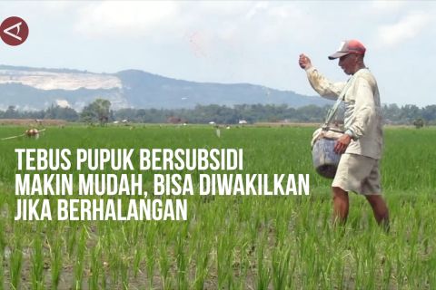Tebus pupuk bersubsidi makin mudah, bisa diwakilkan jika berhalangan