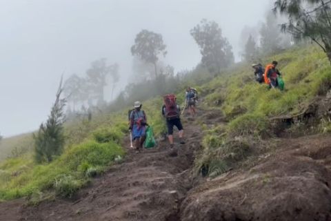 BTNGR tutup pendakian dan mulai tahap pemulihan ekosistem