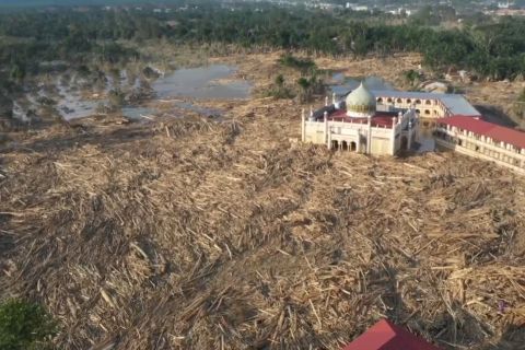 27 perusahaan dilaporkan ke Presiden, diduga picu banjir di Sumatera