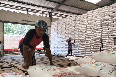 Realisasi serapan pupuk subsidi di Jateng capai 92 persen