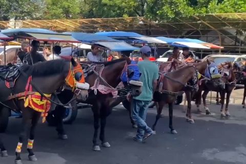 Dishub Jabar antisipasi macet liburan Natal, delman-angkot direhatkan