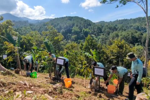 Lahan kritis Madiun ditanami 6.000 pohon untuk cegah longsor