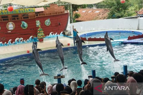 Libur Natal dan Tahun Baru, Safari Beach Jateng dikunjungi hingga 2.800 wisatawan per Hari